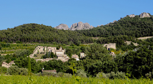 Bergerie de la Plane | Gigondas