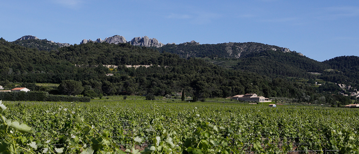 Bergerie de la Plane - Gigondas